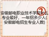 安徽邮电职业技术学院什么专业最好，一年招多少人(安徽邮电招生专业人数)