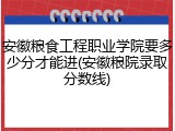 安徽粮食工程职业学院要多少分才能进(安徽粮院录取分数线)