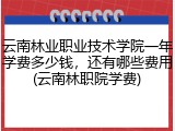 云南林业职业技术学院一年学费多少钱，还有哪些费用(云南林职院学费)