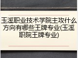 玉溪职业技术学院主攻什么方向有哪些王牌专业(玉溪职院王牌专业)