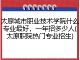 太原城市职业技术学院什么专业最好，一年招多少人(太原职院热门专业招生)