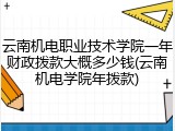 云南机电职业技术学院一年财政拨款大概多少钱(云南机电学院年拨款)