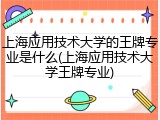 上海应用技术大学的王牌专业是什么(上海应用技术大学王牌专业)