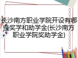 长沙南方职业学院开设有哪些奖学和助学金(长沙南方职业学院奖助学金)