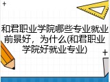和君职业学院哪些专业就业前景好，为什么(和君职业学院好就业专业)