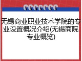 无锡商业职业技术学院的专业设置概况介绍(无锡商院专业概览)