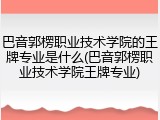 巴音郭楞职业技术学院的王牌专业是什么(巴音郭楞职业技术学院王牌专业)