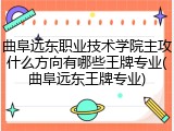 曲阜远东职业技术学院主攻什么方向有哪些王牌专业(曲阜远东王牌专业)