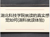 湖北科技学院就读的真实感觉如何(湖科就读体验)