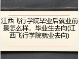 江西飞行学院毕业后就业前景怎么样，毕业生去向(江西飞行学院就业去向)