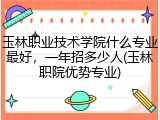 玉林职业技术学院什么专业最好，一年招多少人(玉林职院优势专业)