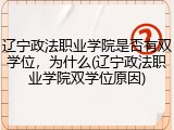 辽宁政法职业学院是否有双学位，为什么(辽宁政法职业学院双学位原因)