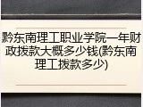 黔东南理工职业学院一年财政拨款大概多少钱(黔东南理工拨款多少)
