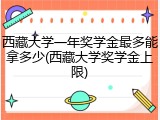 西藏大学一年奖学金最多能拿多少(西藏大学奖学金上限)