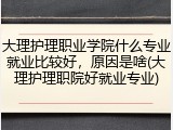 大理护理职业学院什么专业就业比较好，原因是啥(大理护理职院好就业专业)