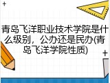 青岛飞洋职业技术学院是什么级别，公办还是民办(青岛飞洋学院性质)