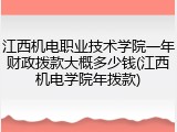 江西机电职业技术学院一年财政拨款大概多少钱(江西机电学院年拨款)