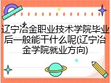 辽宁冶金职业技术学院毕业后一般能干什么呢(辽宁冶金学院就业方向)