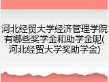 河北经贸大学经济管理学院有哪些奖学金和助学金呢(河北经贸大学奖助学金)
