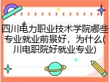四川电力职业技术学院哪些专业就业前景好，为什么(川电职院好就业专业)