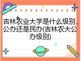 吉林农业大学是什么级别，公办还是民办(吉林农大公办级别)