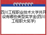 四川工程职业技术大学共开设有哪些类型奖学金(四川工程职大奖学)