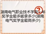 湖南电气职业技术学院一年奖学金最多能拿多少(湖南电气奖学金最高多少)