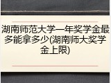 湖南师范大学一年奖学金最多能拿多少(湖南师大奖学金上限)