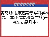 青岛幼儿师范高等专科学校是一本还是本科第二批(青岛幼专是几本)