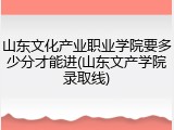 山东文化产业职业学院要多少分才能进(山东文产学院录取线)