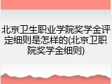 北京卫生职业学院奖学金评定细则是怎样的(北京卫职院奖学金细则)