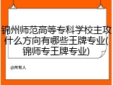 锦州师范高等专科学校主攻什么方向有哪些王牌专业(锦师专王牌专业)