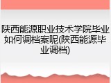 陕西能源职业技术学院毕业如何调档案呢(陕西能源毕业调档)