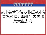 湖北美术学院毕业后就业前景怎么样，毕业生去向(湖美就业去向)