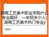 湖南工艺美术职业学院什么专业最好，一年招多少人(湖南工艺美术热门专业)