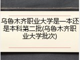 乌鲁木齐职业大学是一本还是本科第二批(乌鲁木齐职业大学批次)