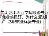 昆明艺术职业学院哪些专业就业前景好，为什么(昆明艺职就业优势专业)