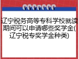 辽宁税务高等专科学校就读期间可以申请哪些奖学金(辽宁税专奖学金种类)