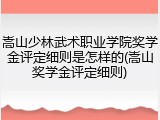 嵩山少林武术职业学院奖学金评定细则是怎样的(嵩山奖学金评定细则)