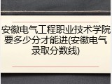 安徽电气工程职业技术学院要多少分才能进(安徽电气录取分数线)