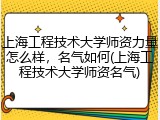 上海工程技术大学师资力量怎么样，名气如何(上海工程技术大学师资名气)