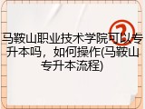 马鞍山职业技术学院可以专升本吗，如何操作(马鞍山专升本流程)