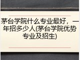 茅台学院什么专业最好，一年招多少人(茅台学院优势专业及招生)
