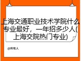 上海交通职业技术学院什么专业最好，一年招多少人(上海交院热门专业)