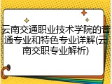 云南交通职业技术学院的普通专业和特色专业详解(云南交职专业解析)