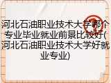 河北石油职业技术大学哪个专业毕业就业前景比较好(河北石油职业技术大学好就业专业)