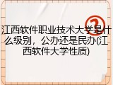 江西软件职业技术大学是什么级别，公办还是民办(江西软件大学性质)