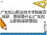 广东松山职业技术学院能否保研，原因是什么(广东松山职院保研原因)