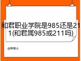 和君职业学院是985还是211(和君属985或211吗)