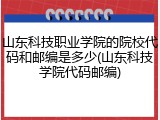 山东科技职业学院的院校代码和邮编是多少(山东科技学院代码邮编)